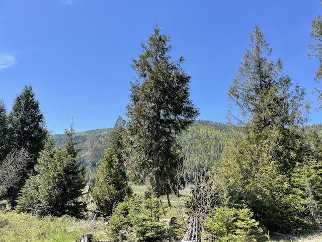 property view of mountains featuring a view of trees