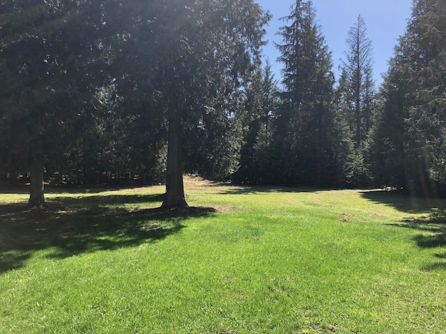view of yard with a view of trees