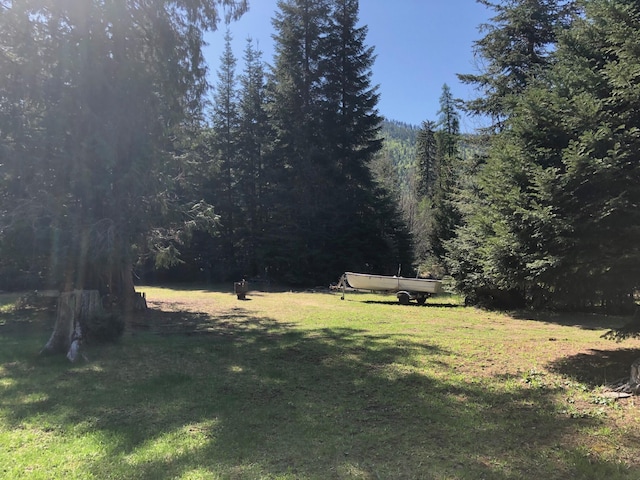 view of yard with a wooded view