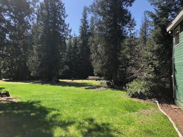 view of yard featuring a wooded view