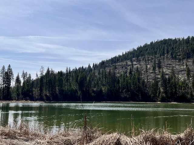 1197B Williams Lake Rd, Evans, WA 99126 - photo 71