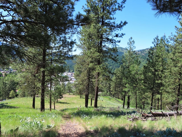 TBD N Keller St, Republic WA, 99166 land for sale