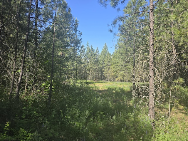 3418 Kingsbury Lake Way, Kettle Falls, WA 99141