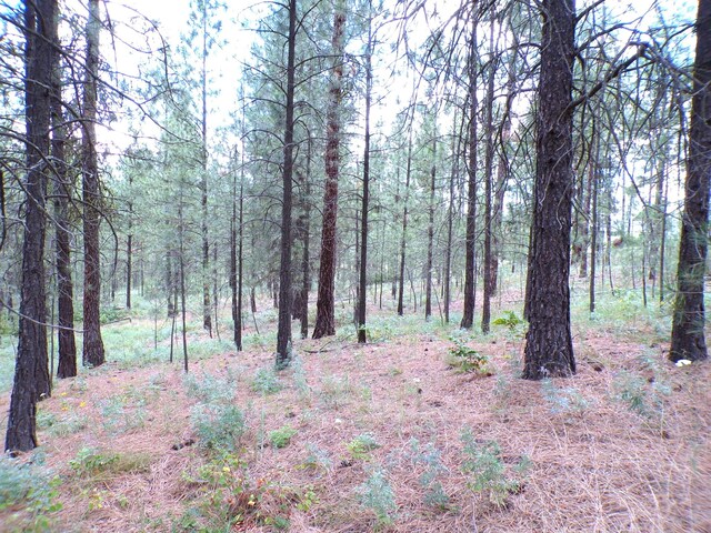 1185 Fumi Cir, Kettle Falls, WA 99141