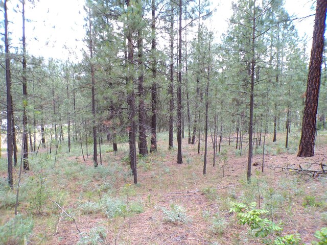 1185 Fumi Cir, Kettle Falls, WA 99141