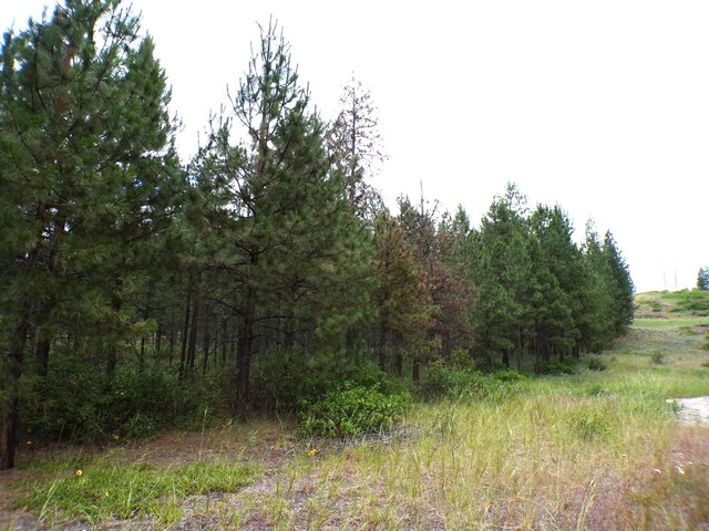 1185 Fumi Cir, Kettle Falls, WA 99141
