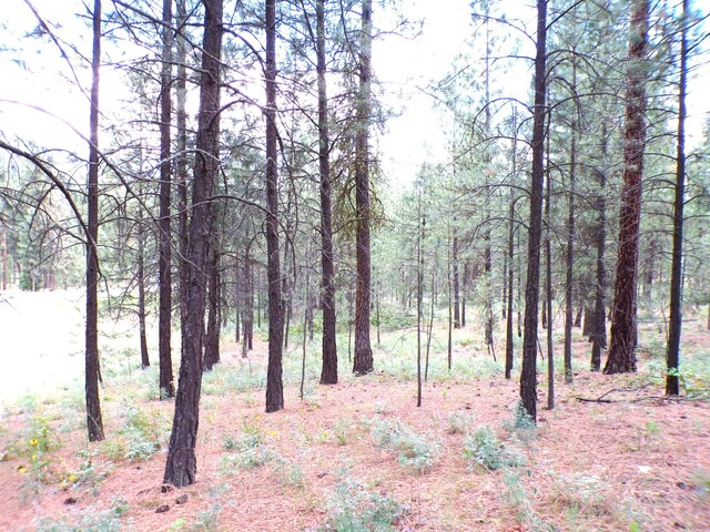 1185 Fumi Cir, Kettle Falls, WA 99141