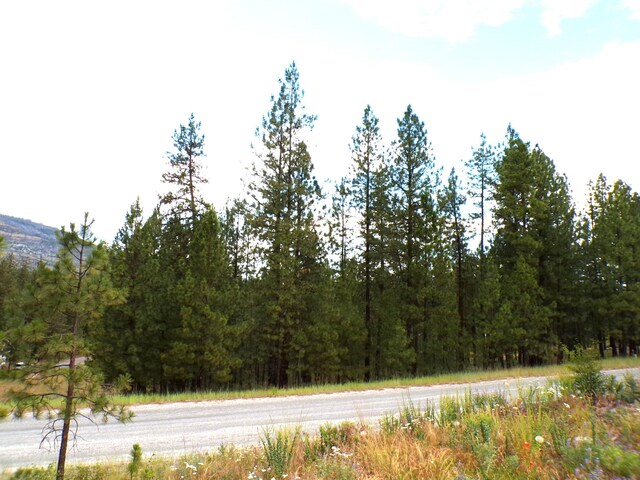 1185 Fumi Cir, Kettle Falls, WA 99141