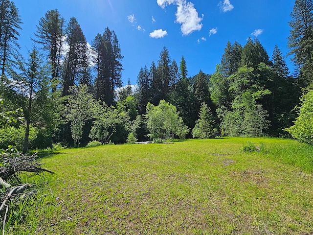 3185 Aladdin Rd, Colville, WA 99114 - photo 47