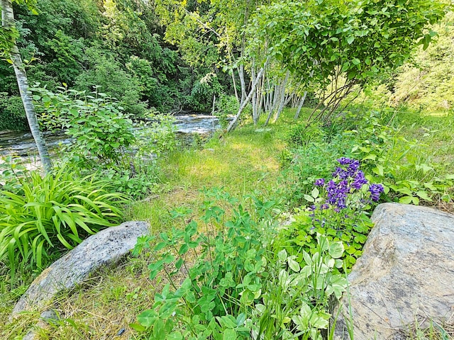 3185 Aladdin Rd, Colville, WA 99114 - photo 41