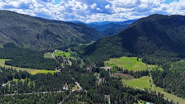 3185 Aladdin Rd, Colville, WA 99114 - photo 32