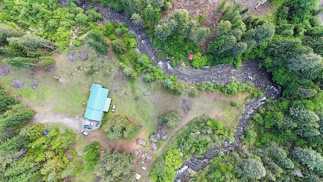 3185 Aladdin Rd, Colville, WA 99114 - photo 34