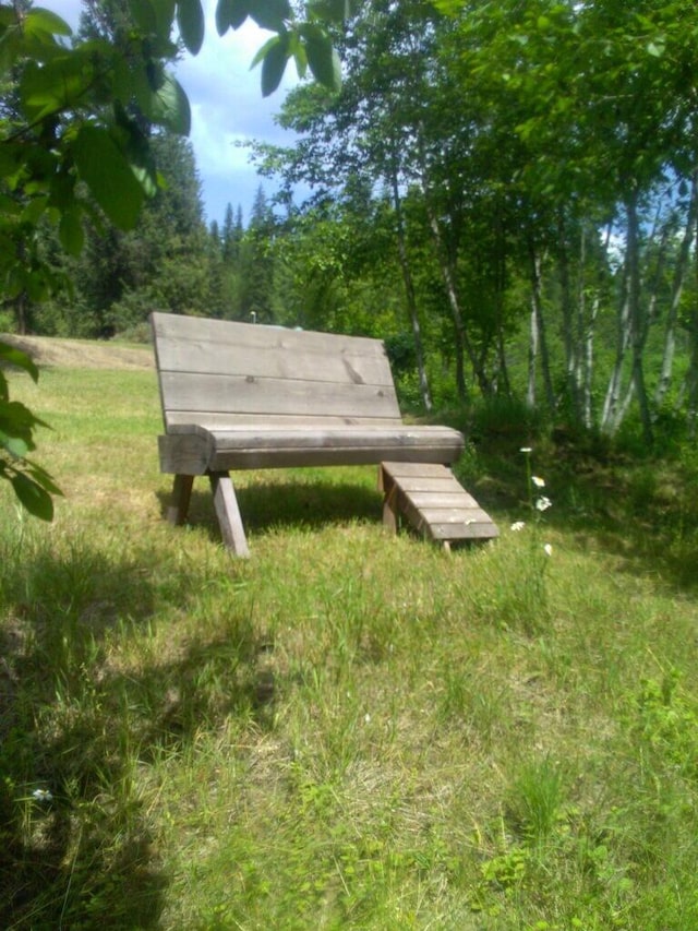 3185 Aladdin Rd, Colville, WA 99114 - photo 59