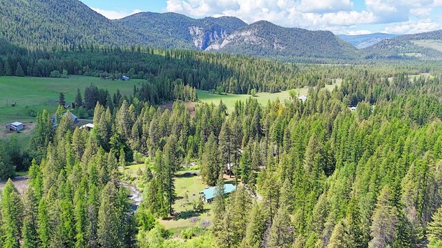 3185 Aladdin Rd, Colville, WA 99114 - photo 8