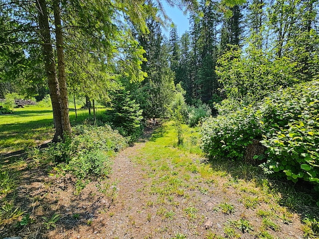 3185 Aladdin Rd, Colville, WA 99114 - photo 48