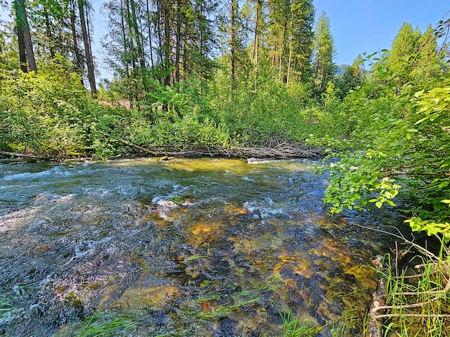 3185 Aladdin Rd, Colville, WA 99114 - photo 46