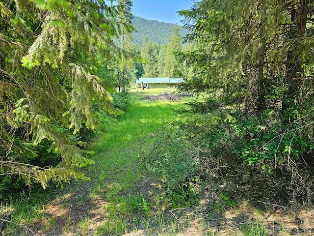 3185 Aladdin Rd, Colville, WA 99114 - photo 55