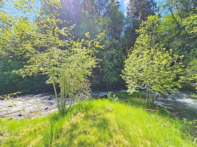 3185 Aladdin Rd, Colville, WA 99114 - photo 37