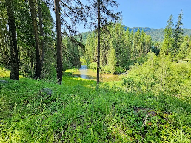 3185 Aladdin Rd, Colville, WA 99114 - photo 27