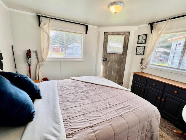 2851 Deep Lake Lopps Rd, Colville, WA 99114 - bedroom with ornamental molding