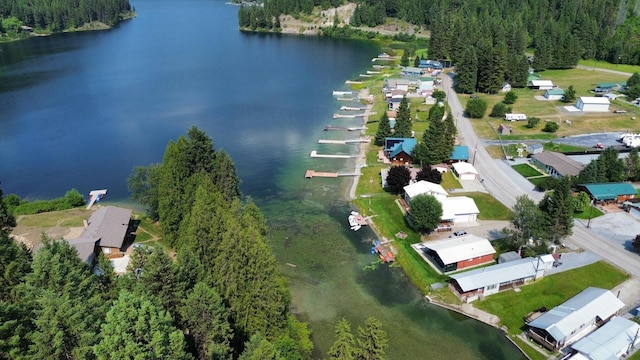 2851 Deep Lake Lopps Rd, Colville, WA 99114 - drone / aerial view with a water view and a view of trees