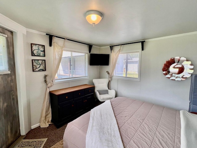 2851 Deep Lake Lopps Rd, Colville, WA 99114 - bedroom featuring ornamental molding, carpet, and baseboards