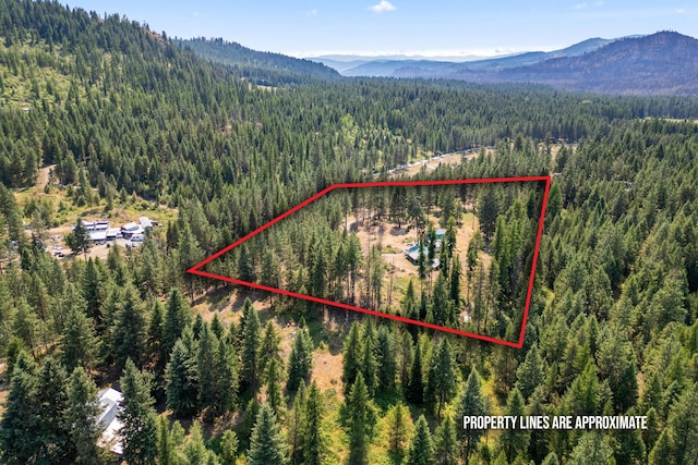3369 Larkspur Way, Kettle Falls, WA 99141 - photo 23