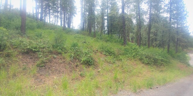 LOT1 Cline Rd, Kettle Falls, WA 99141