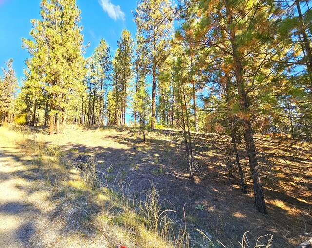 LOT1 Cline Rd, Kettle Falls, WA 99141