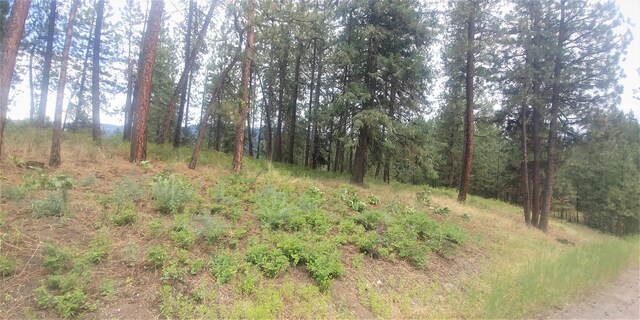 LOT1 Cline Rd, Kettle Falls, WA 99141