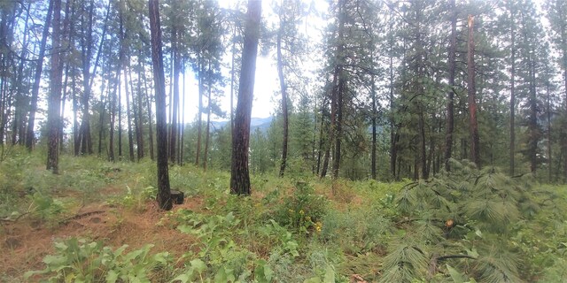 LOT1 Cline Rd, Kettle Falls, WA 99141