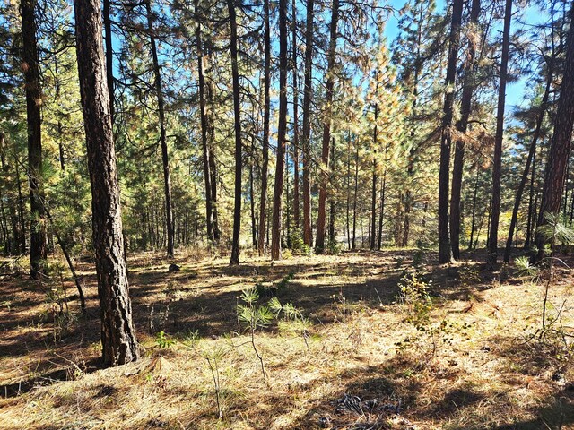 LOT1 Cline Rd, Kettle Falls, WA 99141