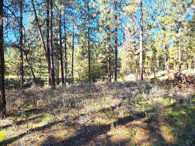 LOT1 Cline Rd, Kettle Falls, WA 99141