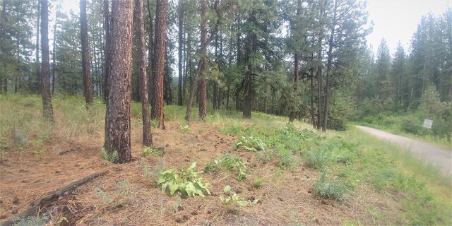 LOT1 Cline Rd, Kettle Falls, WA 99141
