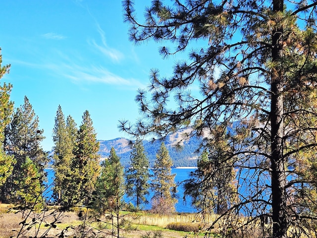 LOT1 Cline Rd, Kettle Falls WA, 99141 land for sale