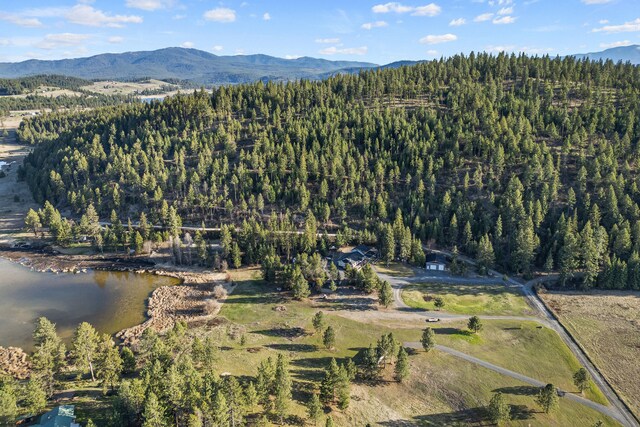 579 White Meadow Way, Colville, WA 99114 - photo 59