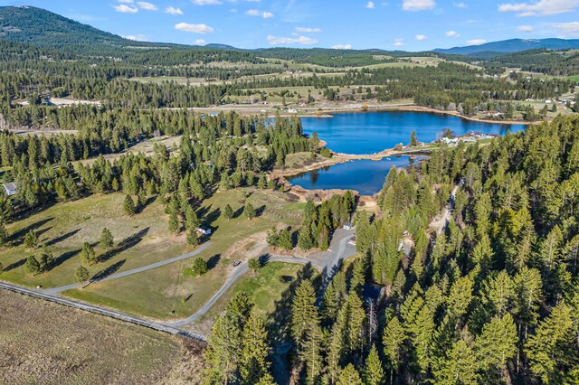 579 White Meadow Way, Colville, WA 99114 - photo 58