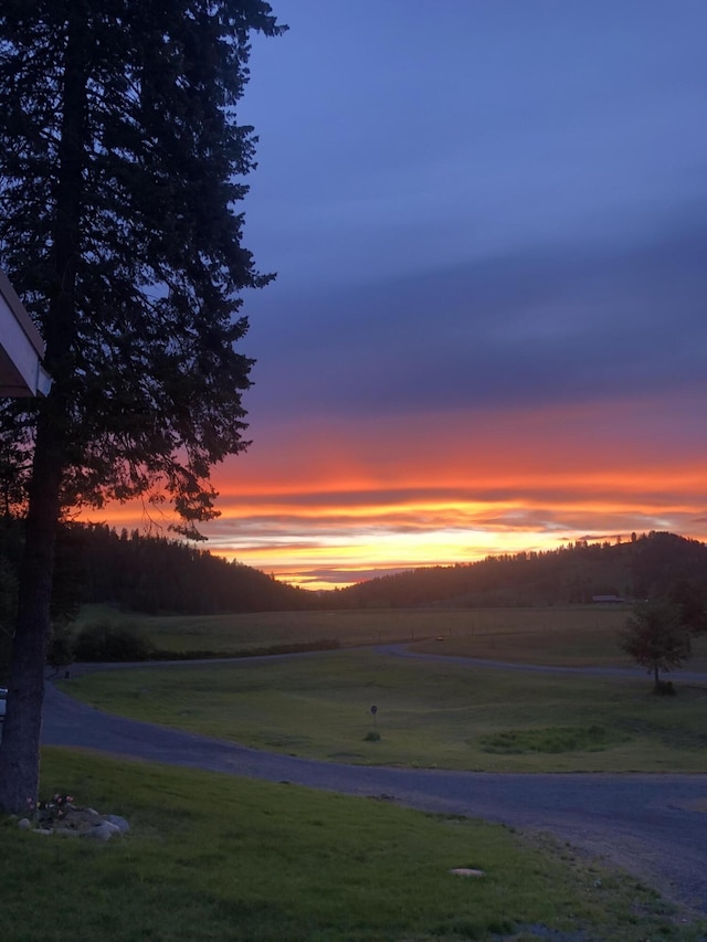 579 White Meadow Way, Colville, WA 99114 - photo 48