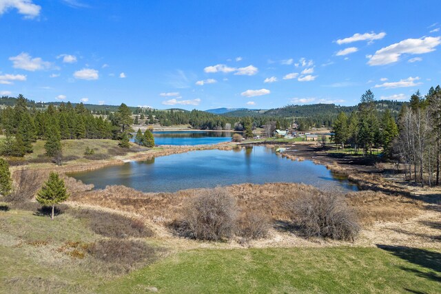 579 White Meadow Way, Colville, WA 99114 - photo 49