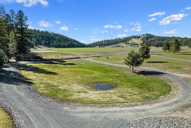 579 White Meadow Way, Colville, WA 99114 - photo 44