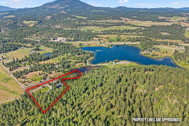 579 White Meadow Way, Colville, WA 99114 - photo 69