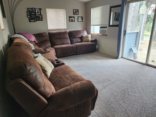 7 Nancy Creek Rd, Kettle Falls, WA 99141 - photo 13