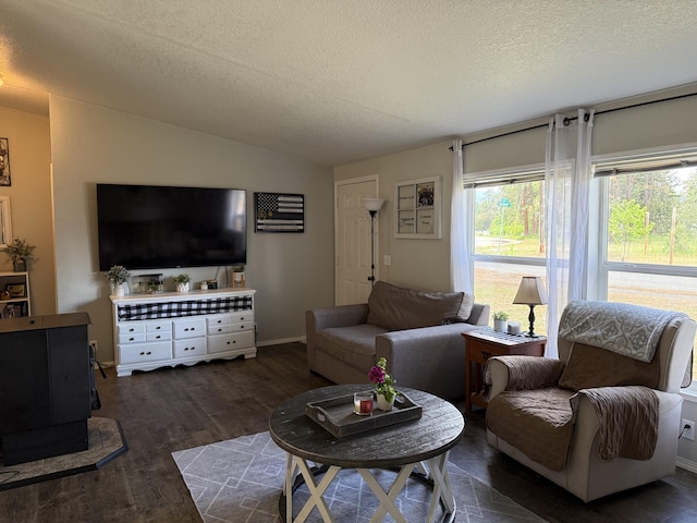 living room with wood finished floors, a textured ceiling, and vaulted ceiling
