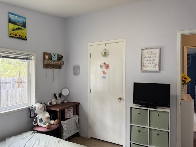 bedroom featuring carpet flooring