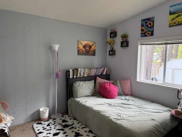 bedroom with carpet floors
