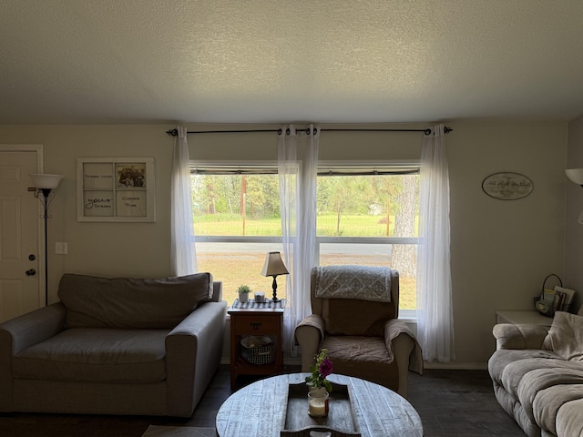 living room with healthy amount of natural light and a textured ceiling