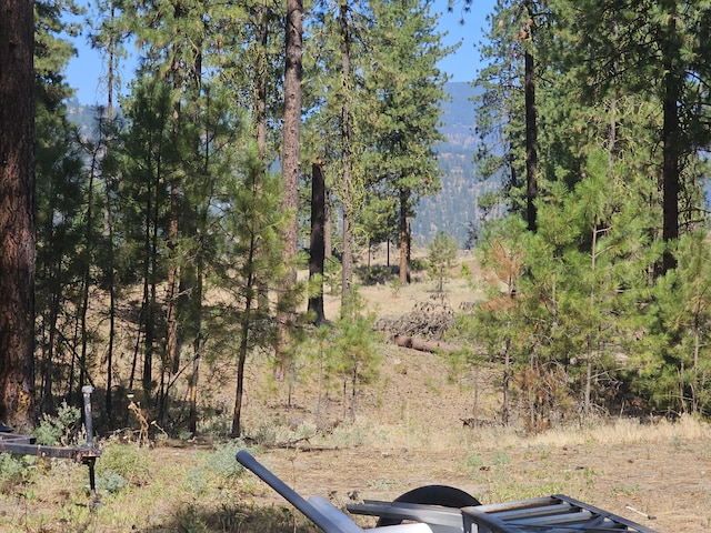 2296C Eagle River Way, Kettle Falls, WA 99141 - photo 28