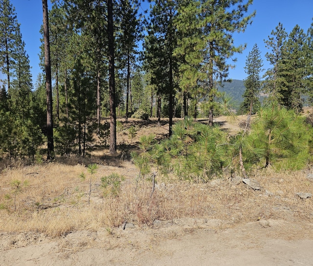 2296C Eagle River Way, Kettle Falls, WA 99141 - photo 21