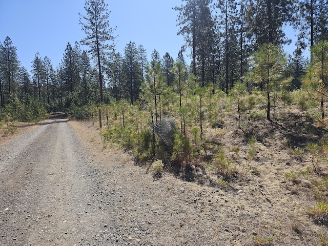 2296C Eagle River Way, Kettle Falls, WA 99141 - photo 23