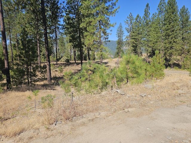 2296C Eagle River Way, Kettle Falls, WA 99141 - photo 20